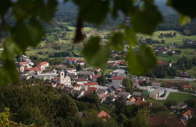 Vineyard Cottage Zajc - Photo 23