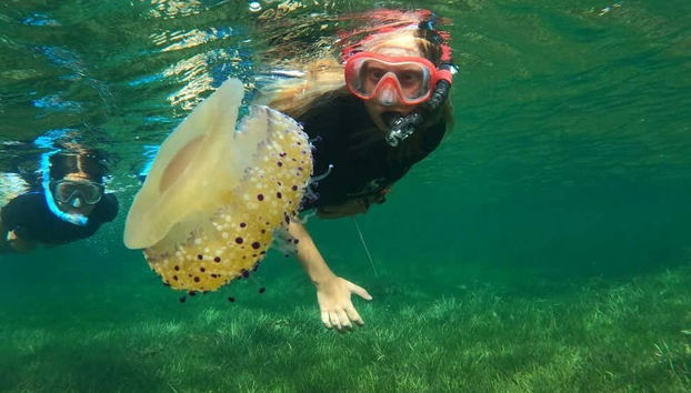 Snorkelling in Cabo de Palos - Foto 3