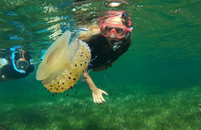 Snorkel en Cabo de Palos - Foto 3
