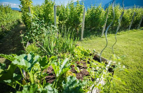 Lochererhof - Foto 72