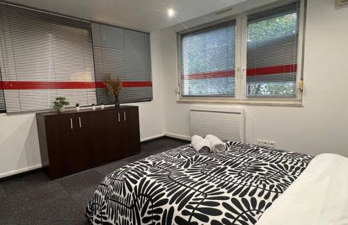 Charmant appartement Strasbourg - Foto 5