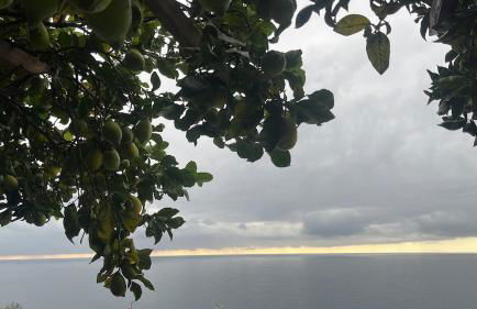 Appartamento Merlino - Photo 22