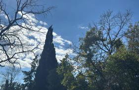 San Fabiano - Foto 31