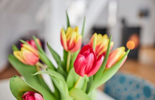 Komfortables Ferienhaus - Traumhafte Entspannung in purer Natur - Foto 8