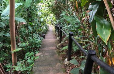 Casa 4 Suítes com com Vista para o Mar - Praia Barra do Sahy - Foto 45