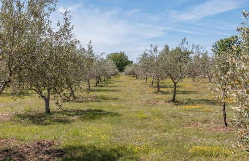 Amazing Home In Vodnjan With Sauna - Foto 21