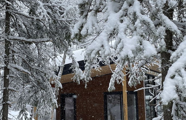 Tanières Microchalets - Photo 24