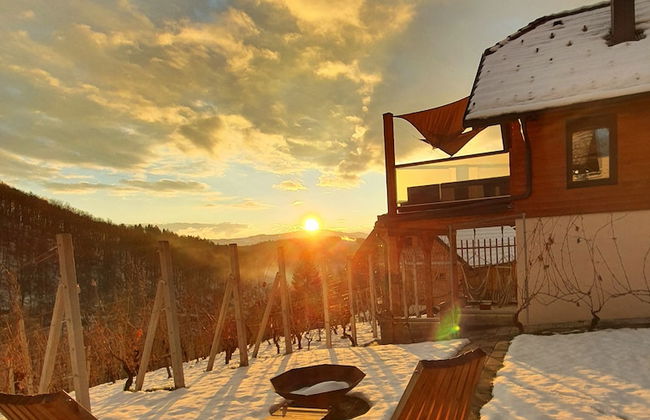 Vineyard cottage Matej - Foto 38