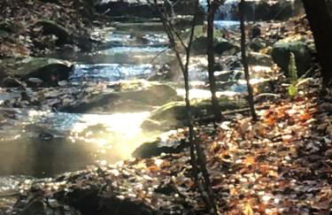 Beautiful Secluded Log Cabin - Foto 32