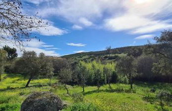 Quinta da Utopia - Foto 50