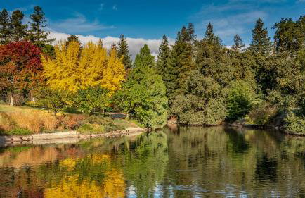 Craftsman 3BR Walk to UC Davis Pet-Friendly - Foto 32