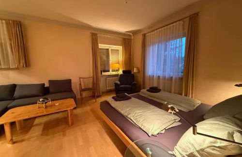 Lautertal Panorama-Suite - Kingsize-Bett & Badewanne & Dusche - Raucherbereich vor überdachten Terrasse - Rosengarten - Parkplätze 15m entfernt- Naturschutzgebiet vor Haustüre - sehr ruhige Gegend - Self-Checkin - 45qm2 - Foto 8