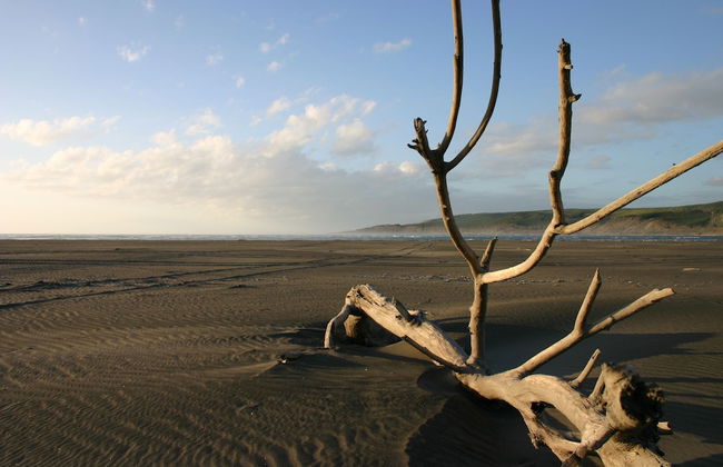 Port Waikato Holiday Park - Photo 49