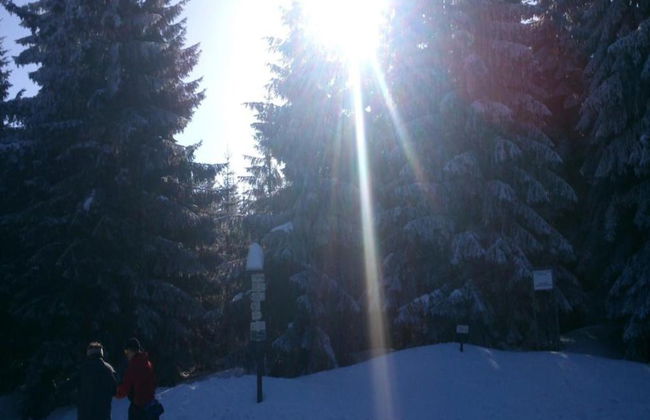 Comfortable Holiday Home With Sauna and Billiards, Near the Slopes - Photo 25