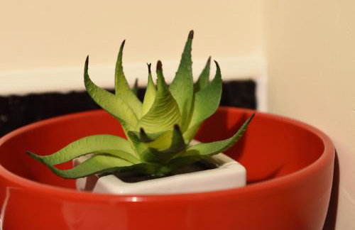 StayNEC Coach House Birmingham - For Company, Contractor & Leisure Stays - NEC, HS2, JLR, Airport - Foto 64