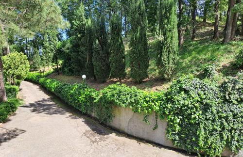 LA BARCA NEL FRUTTETO Natura e relax in collina - Foto 25