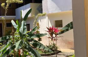 Espaço jasmim manga - Foto 14