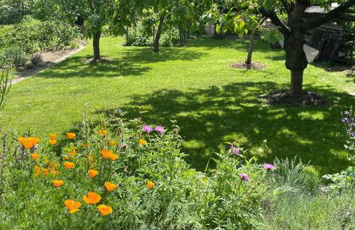 Haus Welzel - Foto 44