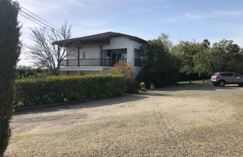 Le colibri - Photo 28