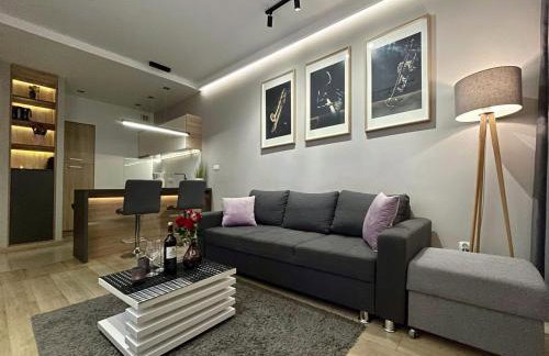 4UApart - Apartment suite Platan Grey - Foto 30