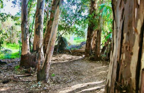 The Dragonfly Retreat - Photo 67