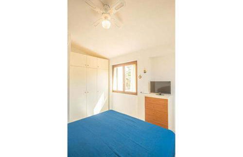 Giglio Viola - Foto 10