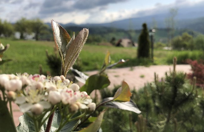 Branmontecrai - Foto 46