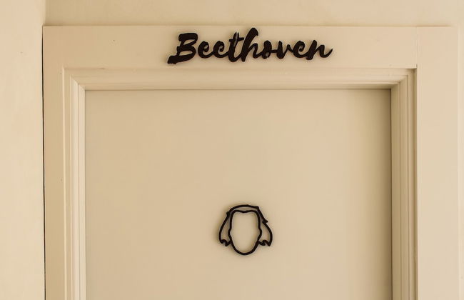 Le Stanze della Musica - Foto 22