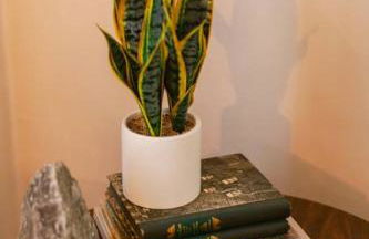 Classic & Cozy Apartments - Parking & Close to DW - Foto 23