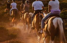 Casa mosaico IUN R9770 - Foto 20