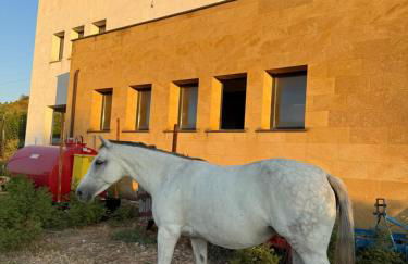 Casale Morillo - Foto 44