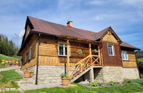 Stary Dom z Piwnicą - Foto 1