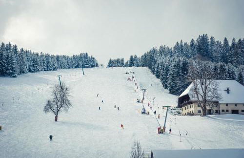 Ferienhaus Wendelhof - Foto 29