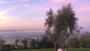 CASA AL VENTO - Foto 1, Garden