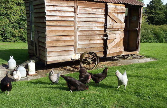 Manor Farm B & B - Foto 53