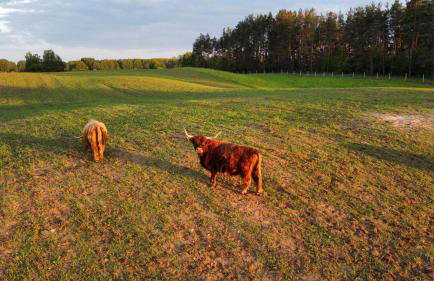 KRASNE POLE Gospodarstwo Rolne - Foto 20
