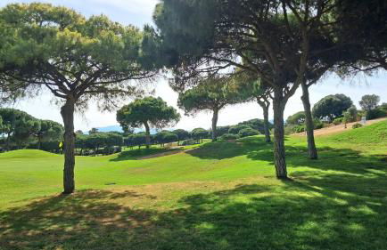 Casa Patricia - Photo 26