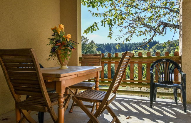Holiday Home in Auvergne With Roofed Garden and Terrace - Foto 28
