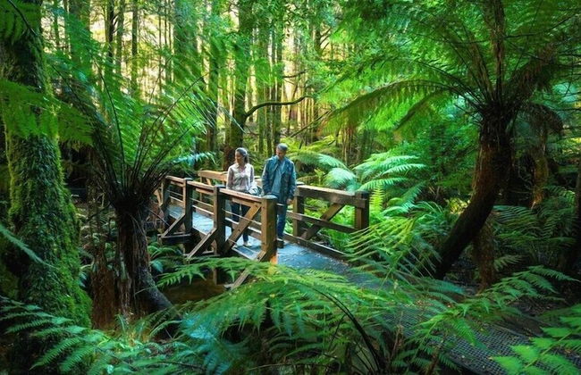 Marysville Garden Cottages - Photo 55