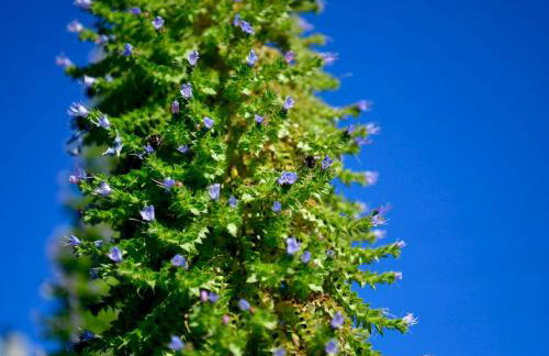 Cosy Rural 2 Bed Barn conversion close to Beach - Pass the Keys - Foto 60