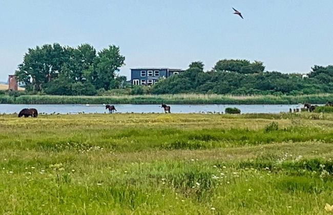 6 Person Holiday Home in Bagenkop-by Traum - Foto 21