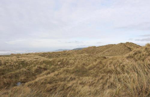 Y Felin - Moana - Foto 32