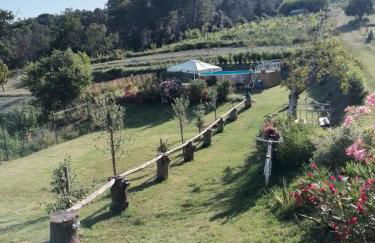 La Casa dei Nonni - Foto 28