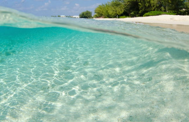 S3 BP Steps to Beach - Photo 38