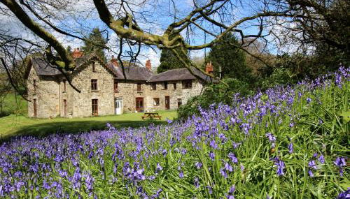 David's Organic Farm Wales - Foto 4