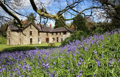 David's Organic Farm Wales - Foto 4