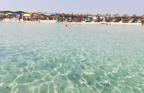 Trullo Alessandro e Villa Raffaela - Foto 144