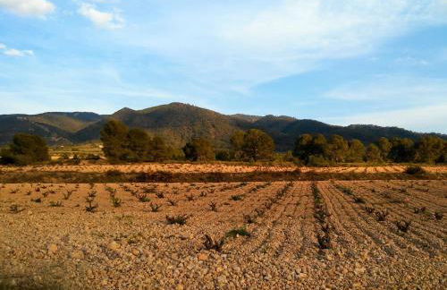 Casa rural el Carmen de la Sierra - Foto 33
