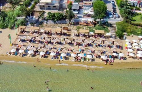 Stellar Blue Palio - Foto 2