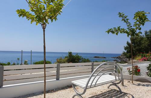 Summer Vibes - Photo 31